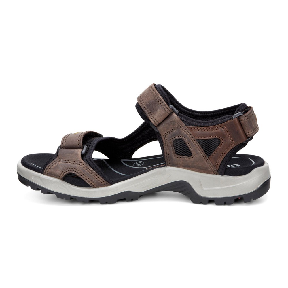 Sandalias Hombre - ECCO Yucatan - Marrom/Negros - WLP016795